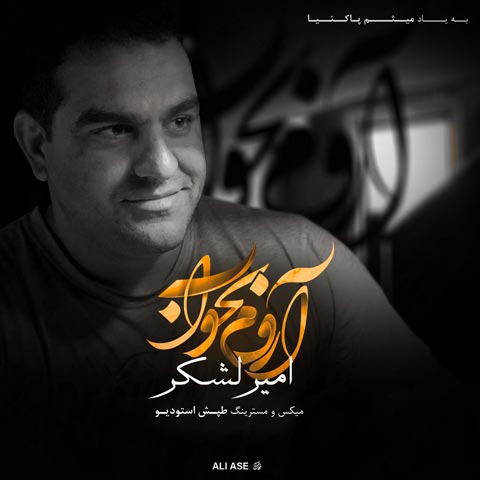 دانلود آهنگ امیر لشکر آروم بخواب